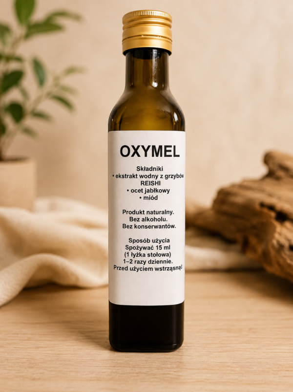 reishi oxymel 250 ml